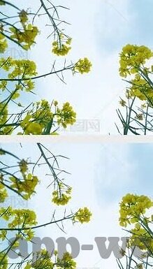 足球俄罗斯比分-俄罗斯足球，比分背后的荣耀与挑战