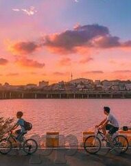 足球竞彩比分188-足球竞彩比分188，一场数字背后的激情与策略博弈